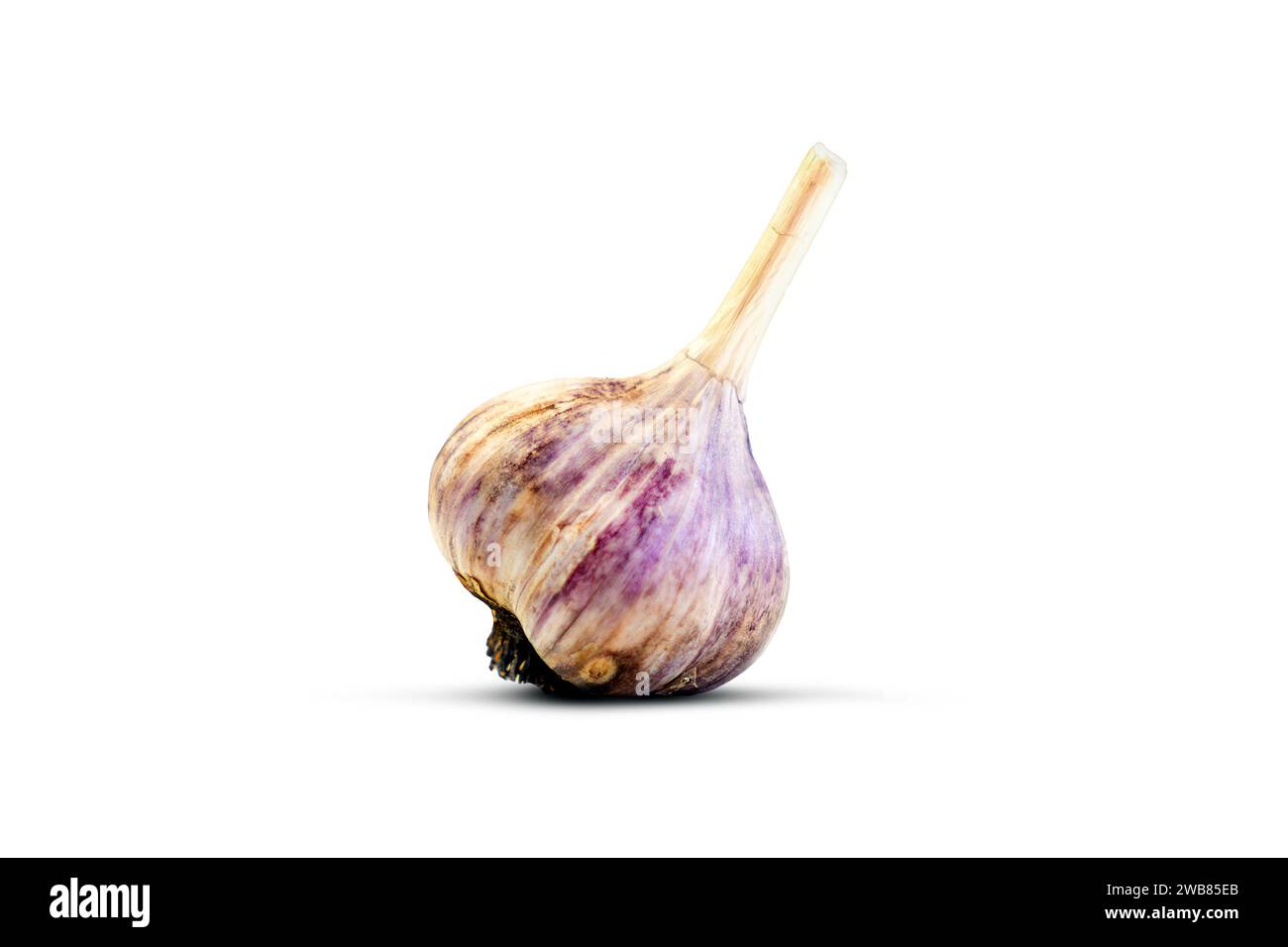 Garlic isolated on white background, Stock Photo