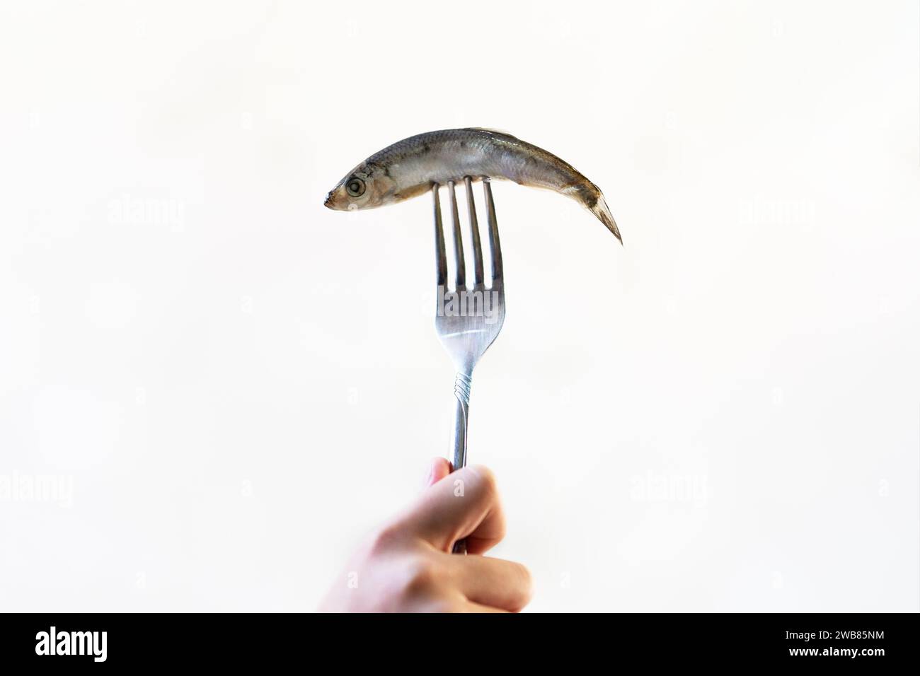 sprat fish on fork isolated on white background. Stock Photo