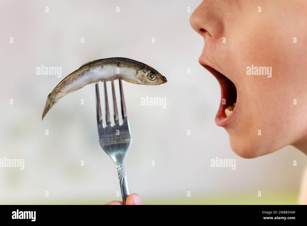 sprat in the hands, salty and fresh on a white background. the open mouth is eating fish. Stock Photo