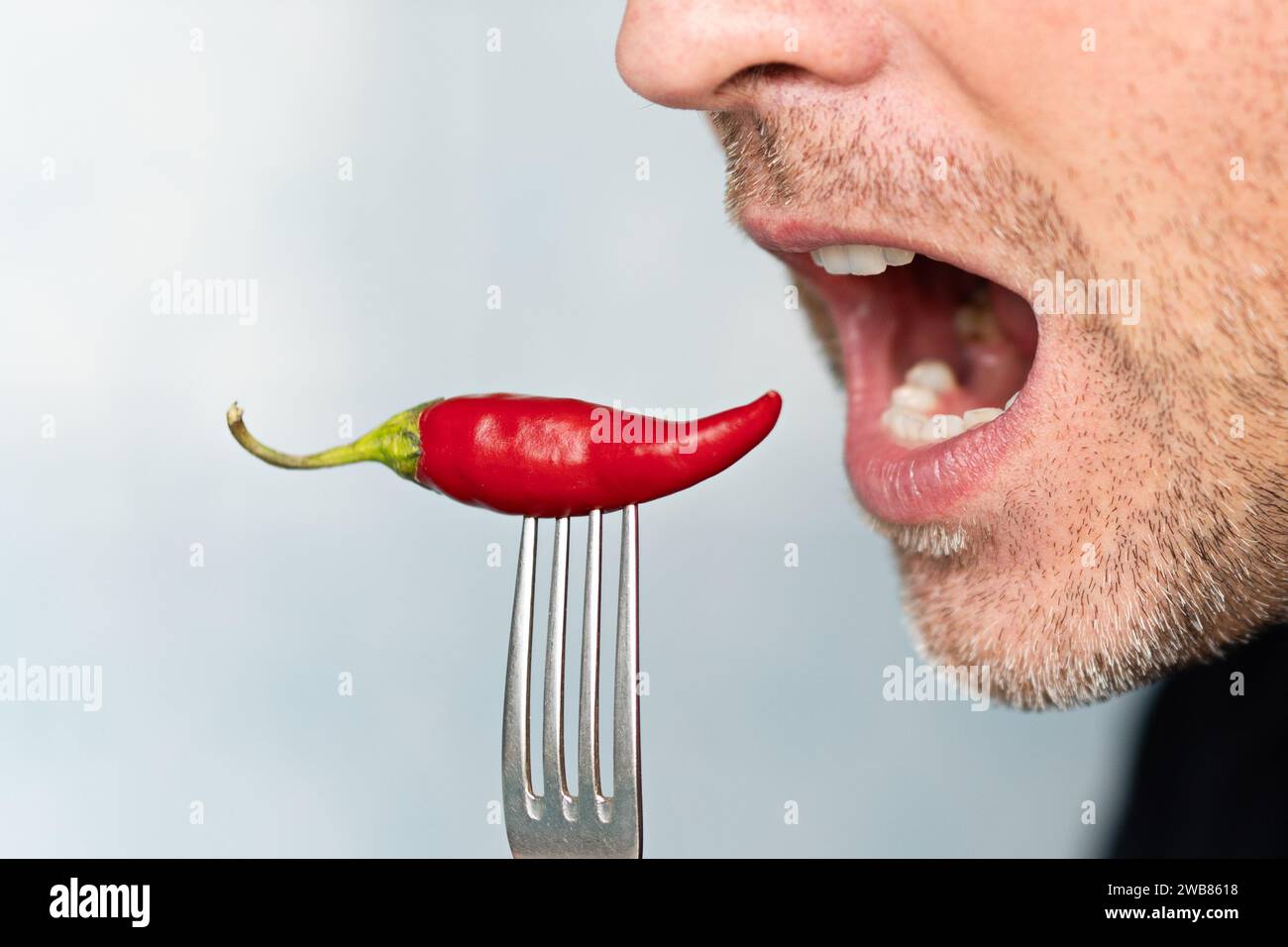Expressive and funny man holding a whole red chili pepper in his mouth. Man eating a spicy pepper on a blue background. Extra hot cayenne pepper. Stock Photo