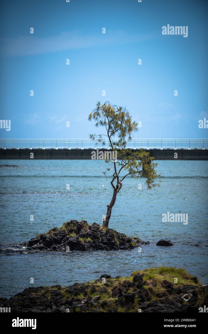 Hawaii hilo hi-res stock photography and images - Alamy