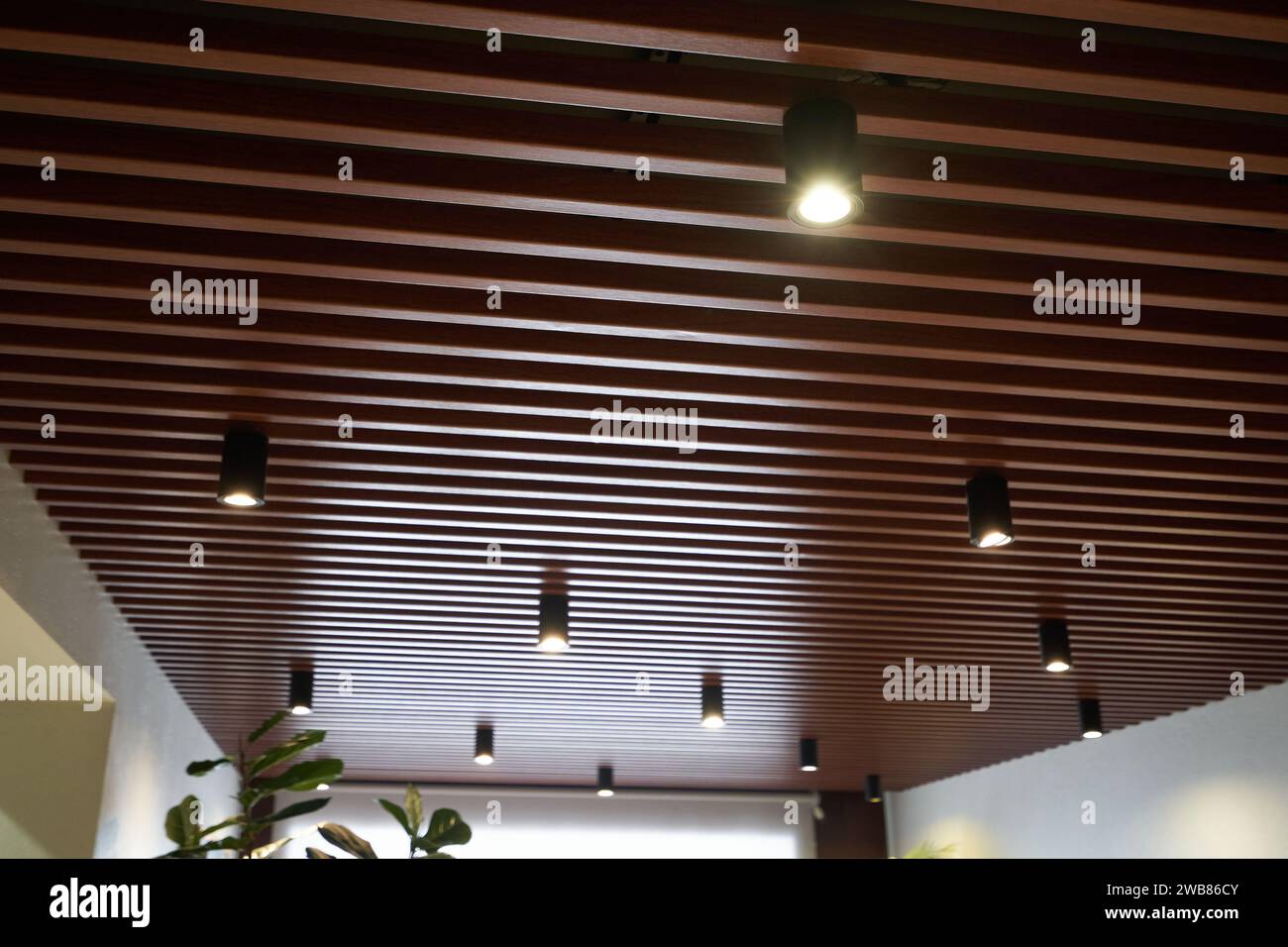 The ceiling is made of wooden slats with spotlights Stock Photo
