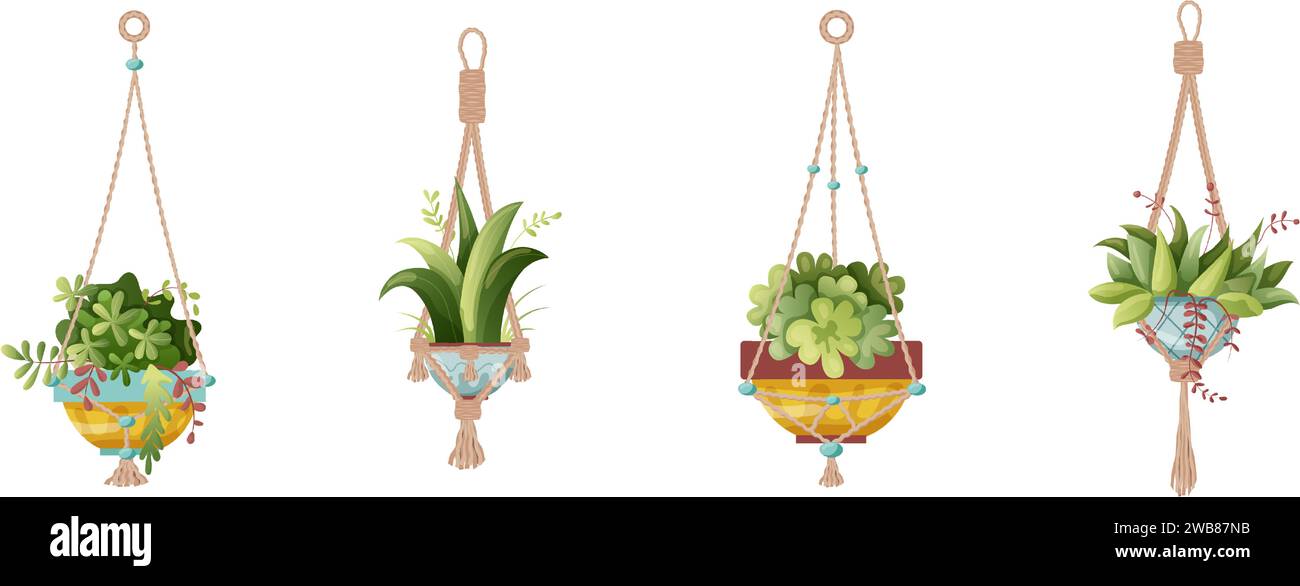 Houseplant and macrame plant growing in pots. Set of handmade home ...