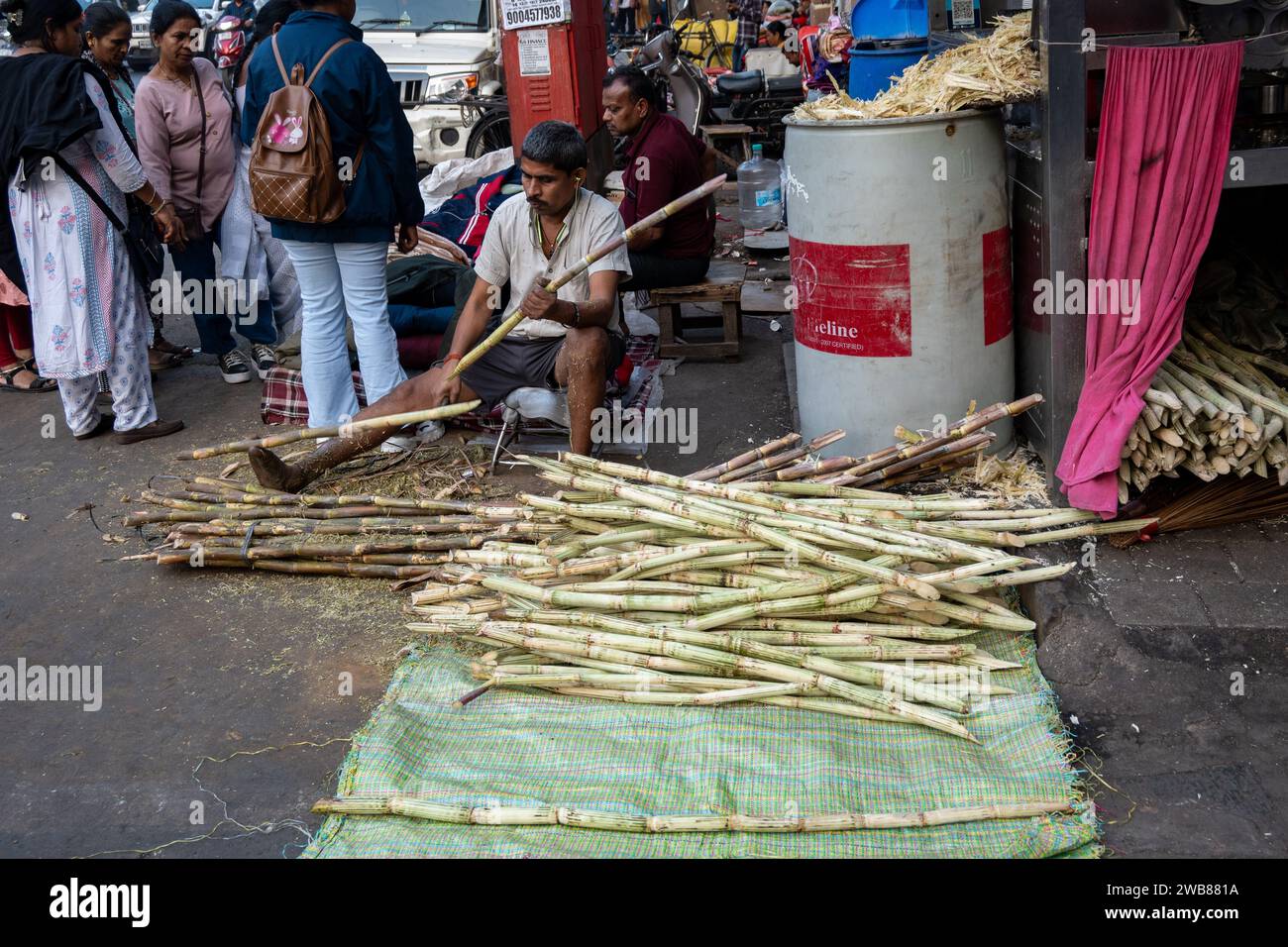 Mumbai, Maharashtra, India, Indian peeling sugarcane in the street, Editorial only. Stock Photo