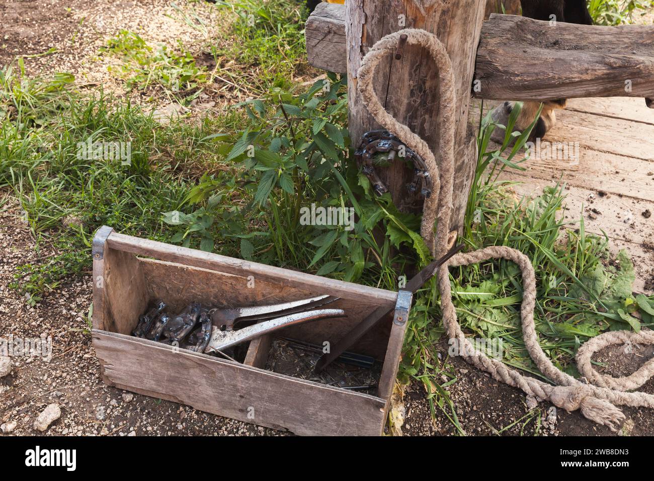 Horse shoeing tools lay in a wooden toolbox on a farm, outdoor photo