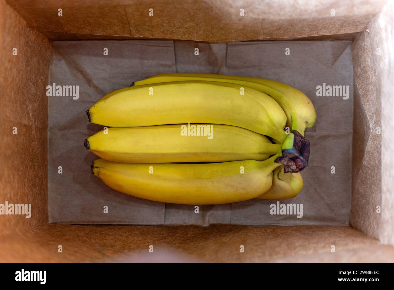 a bunch of bananas in a brown paper bag top view. Buying bananas at the