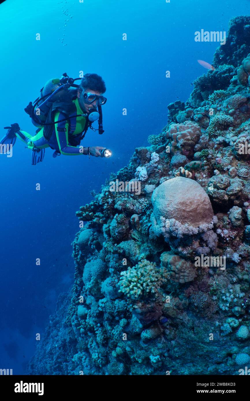 A person wearing a scuba suit and fins discovering underwater life in a
