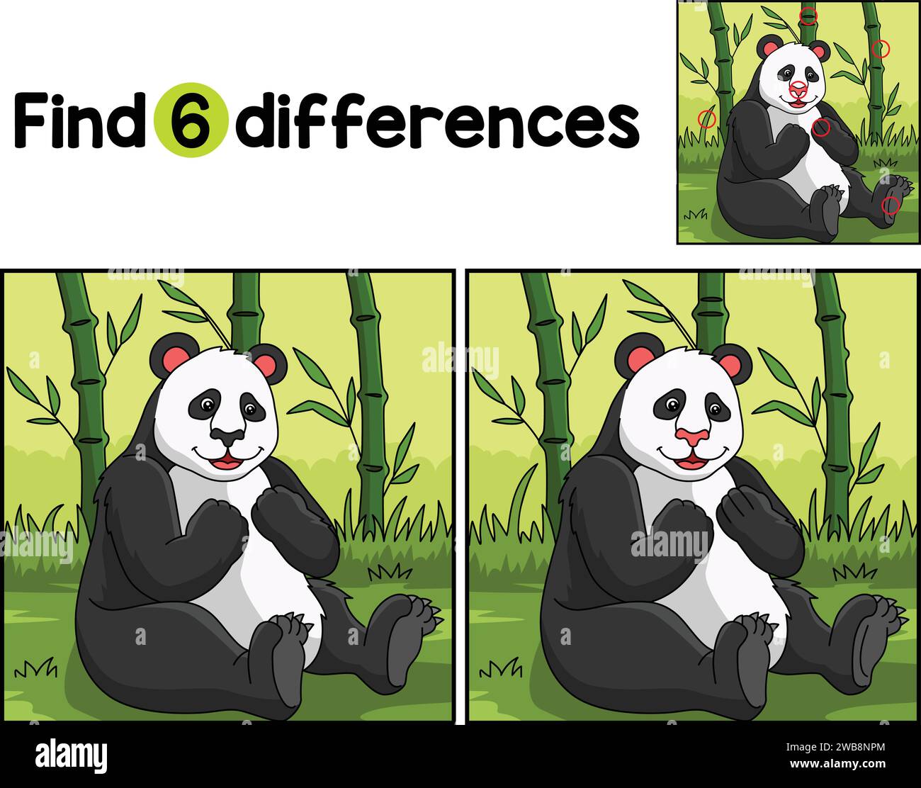 Panda Animal Find The Differences Stock Vector Image & Art - Alamy