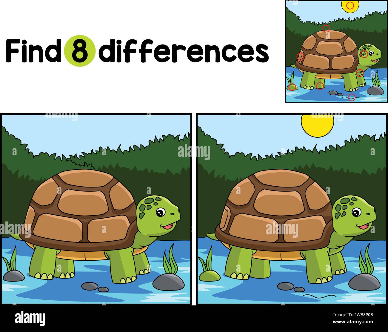 Turtle Animal Find The Differences Stock Vector Image & Art - Alamy