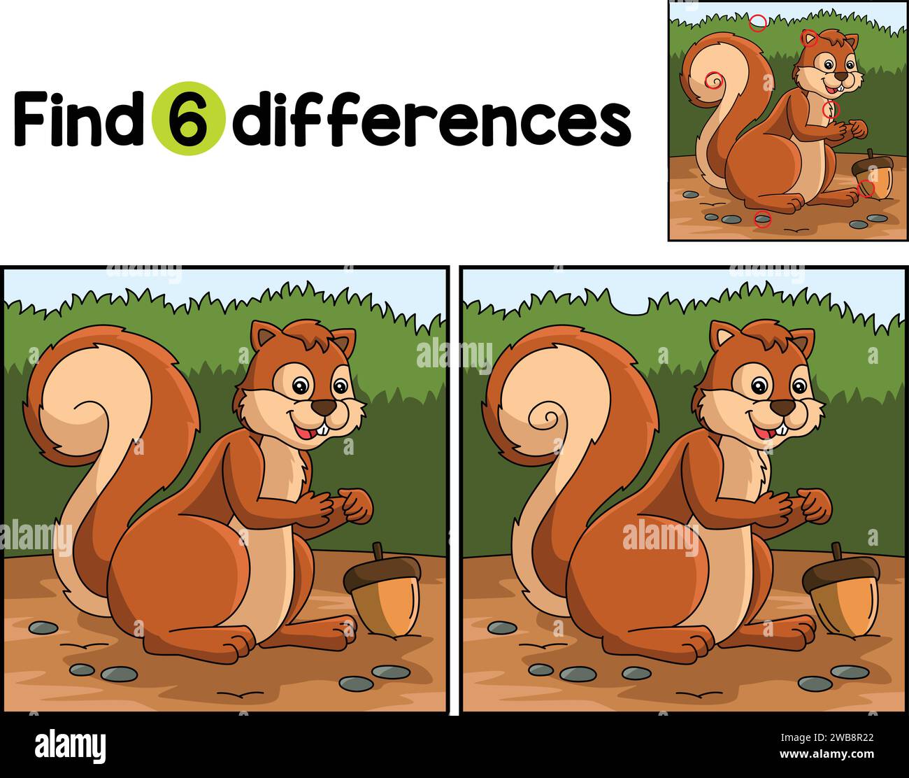 Squirrel Animal Find The Differences Stock Vector Image & Art - Alamy