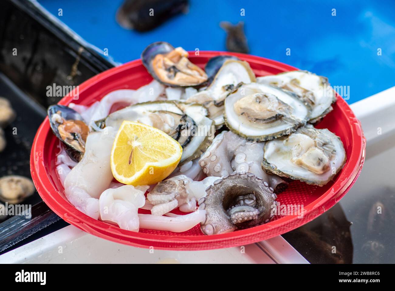 Plastic plate with raw pieces of octopus, cuttlefish, black mussels, oysters, lemon, ready to eat, in a street food market in Bari, Puglia, Italy Stock Photo