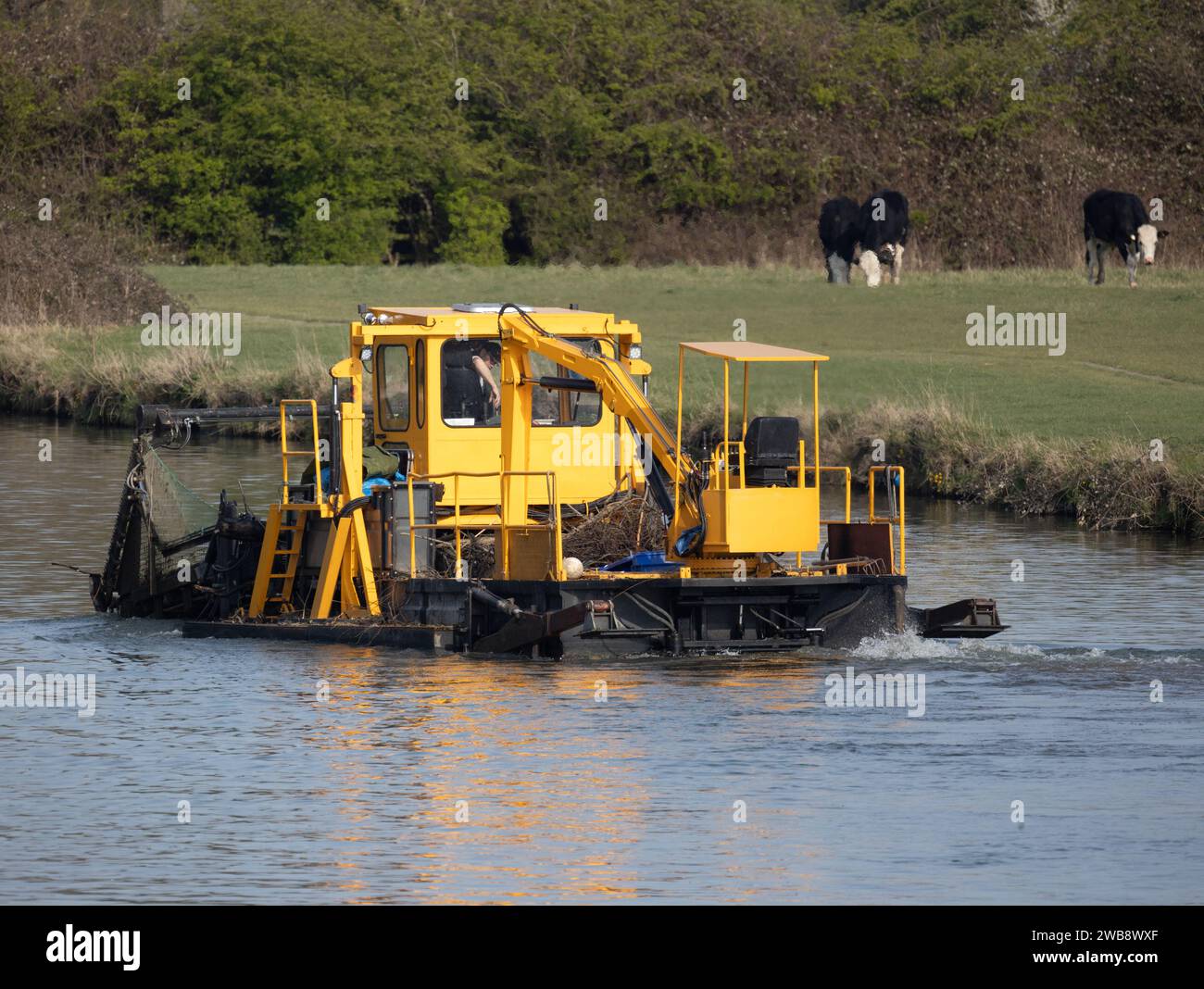 Yellow dredger on river cam near Fen Ditton Cambridge cutting weed Stock Photo