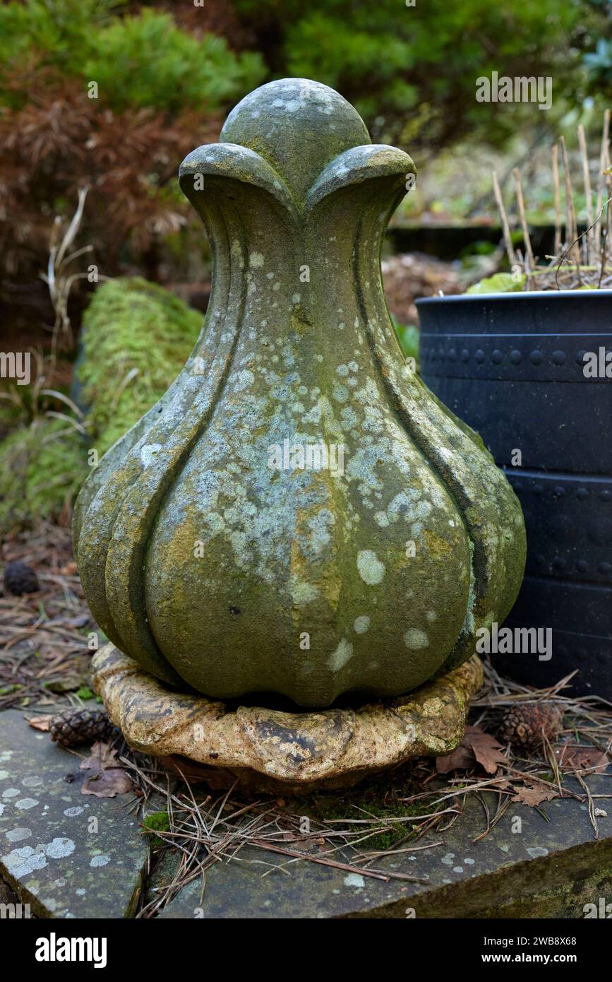 In December and surrounded by Scots Pine needles, a garden stone ornament waits for spring in the smallholding garden. North Yorkahire. UK Stock Photo