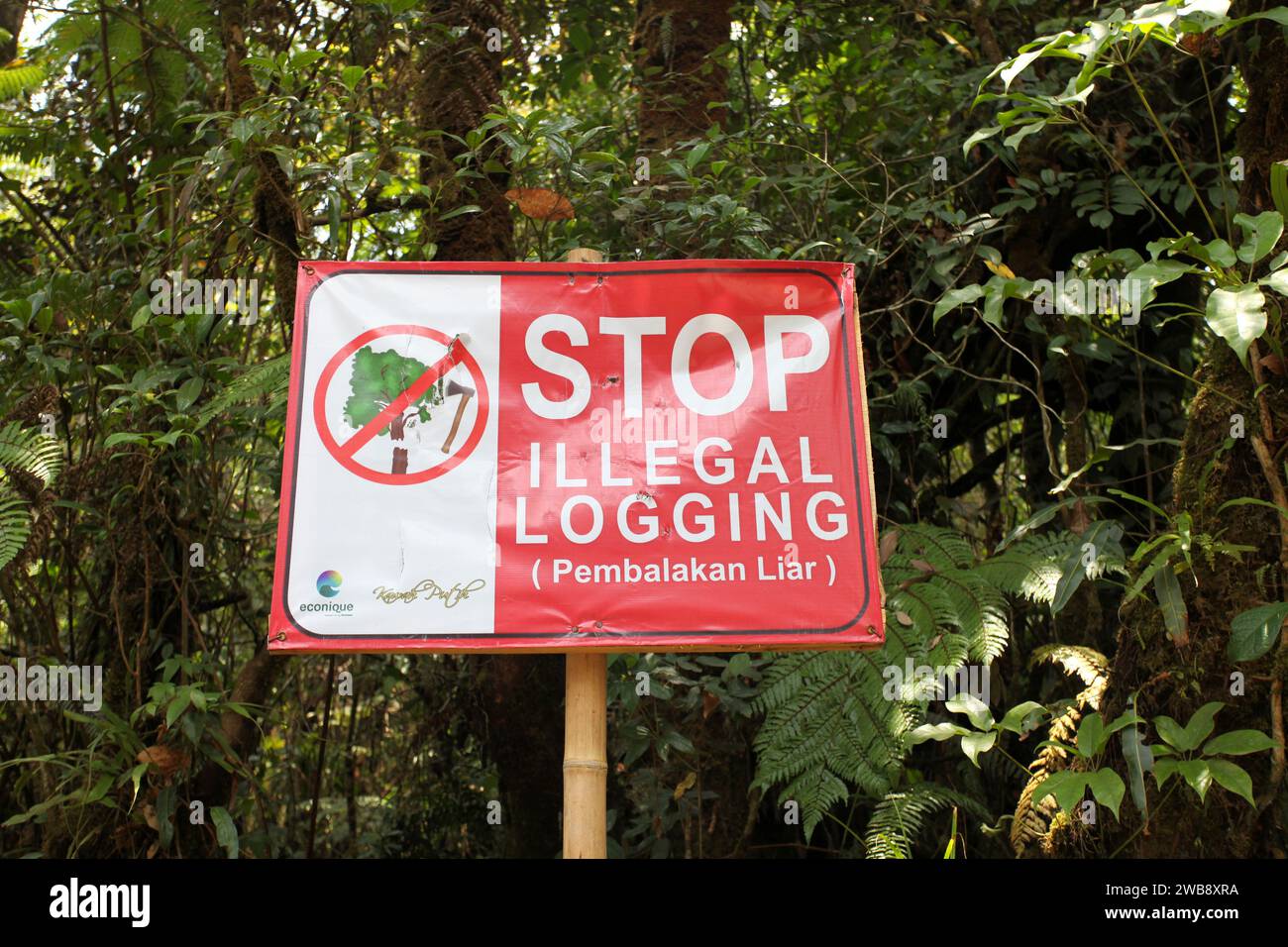 A Stop Illegal Logging sign in a wooded area in Indonesia. Stock Photo
