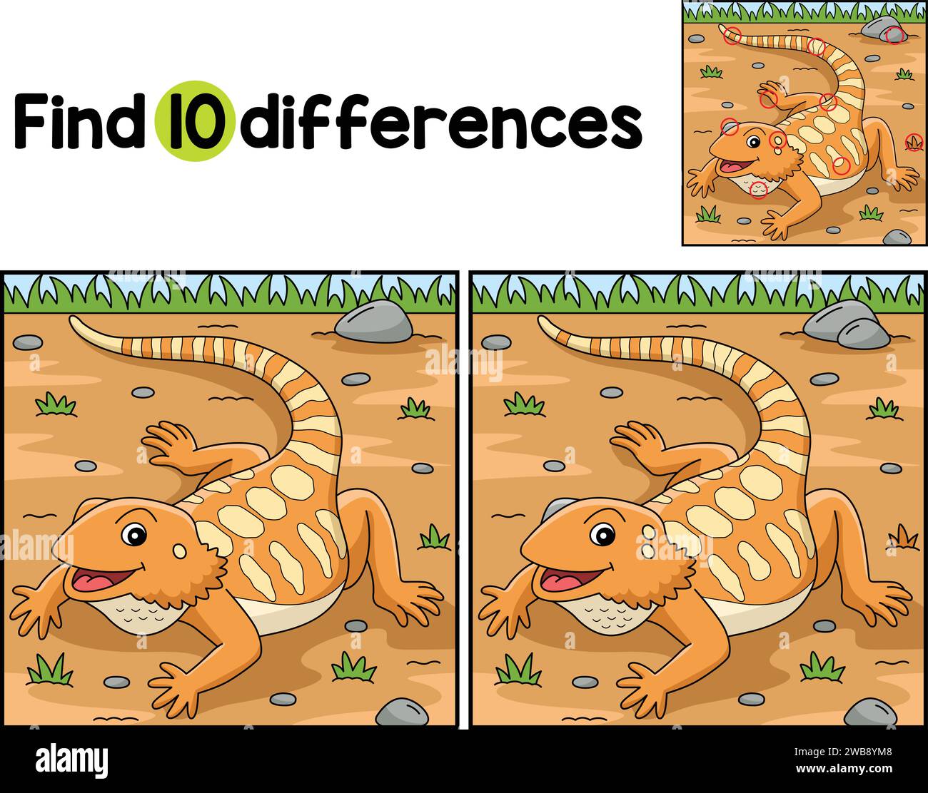 Bearded Dragon Animal Find The Differences  Stock Vector
