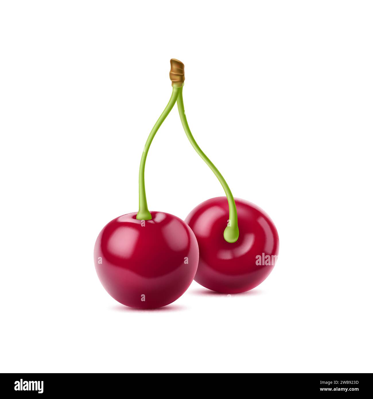 Realistic isolated ripe raw cherry berry. 3d vector vivid cherries pair glisten, showcasing their deep red hue. Each plump sphere, attached to stem promises burst of sweet flavor and natural freshness Stock Vector