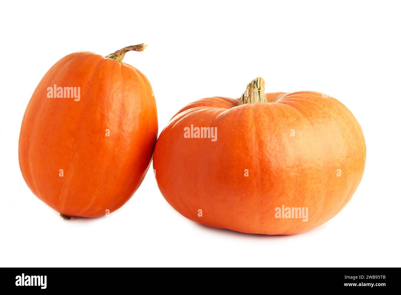 Two fresh orange pumpkins isolated on white background. Top view Stock Photo
