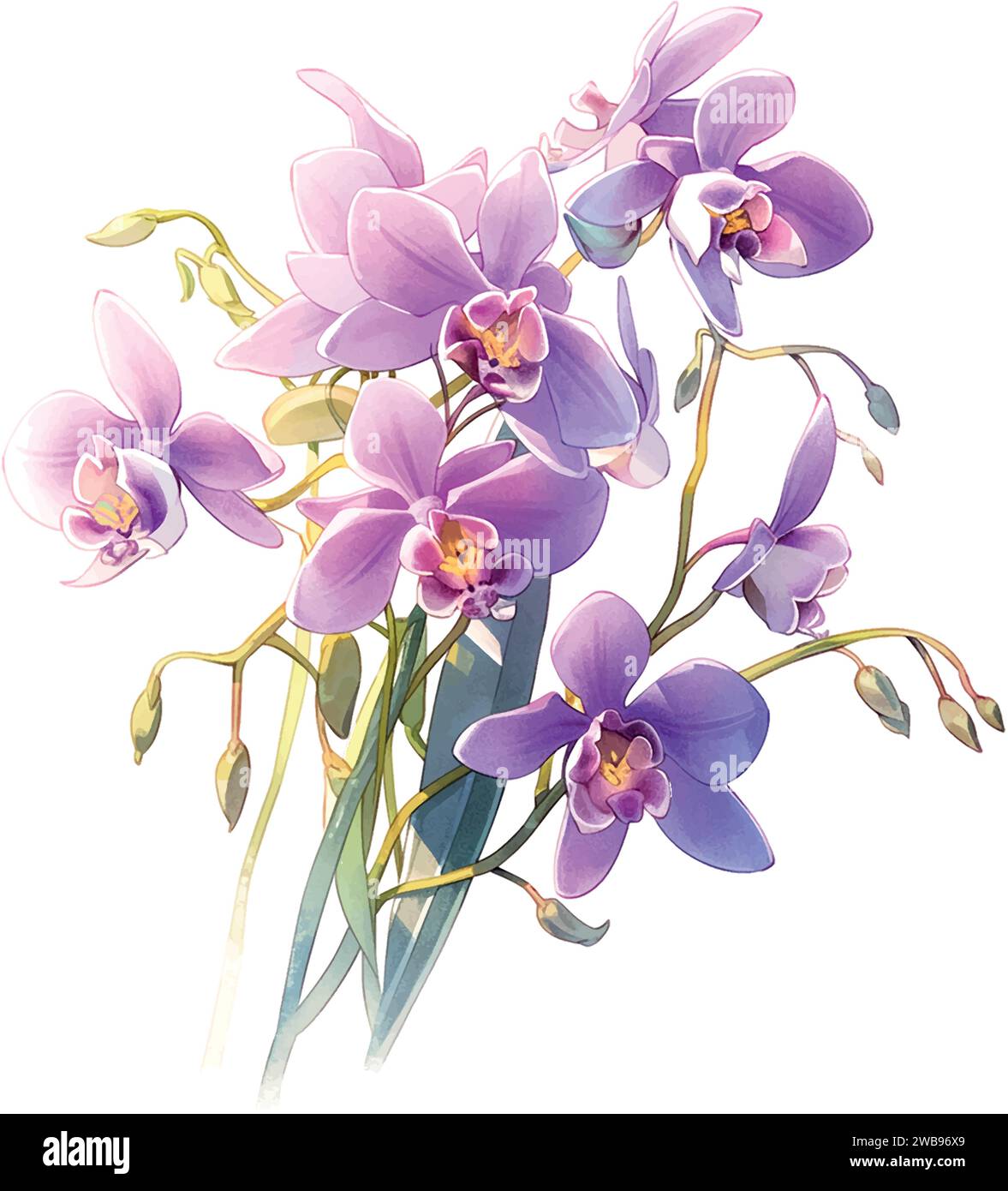 flower, orchid watercolor botanical bloom Stock Vector Image & Art - Alamy