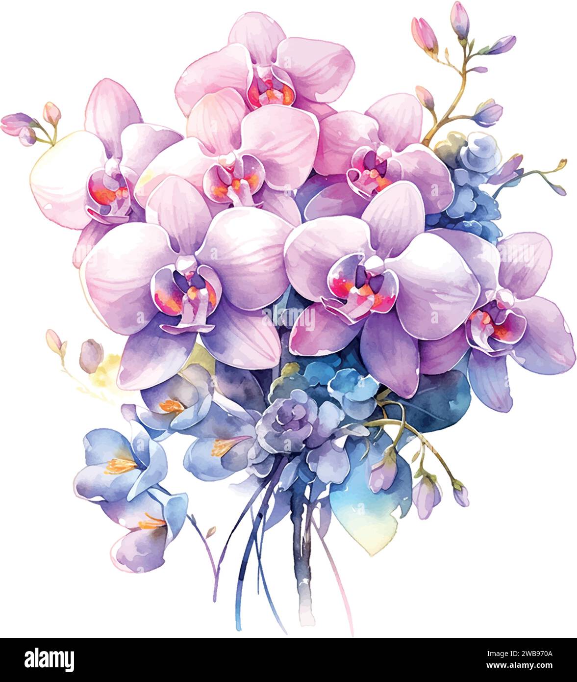 Dendrobium orchid flower Stock Vector Images - Alamy