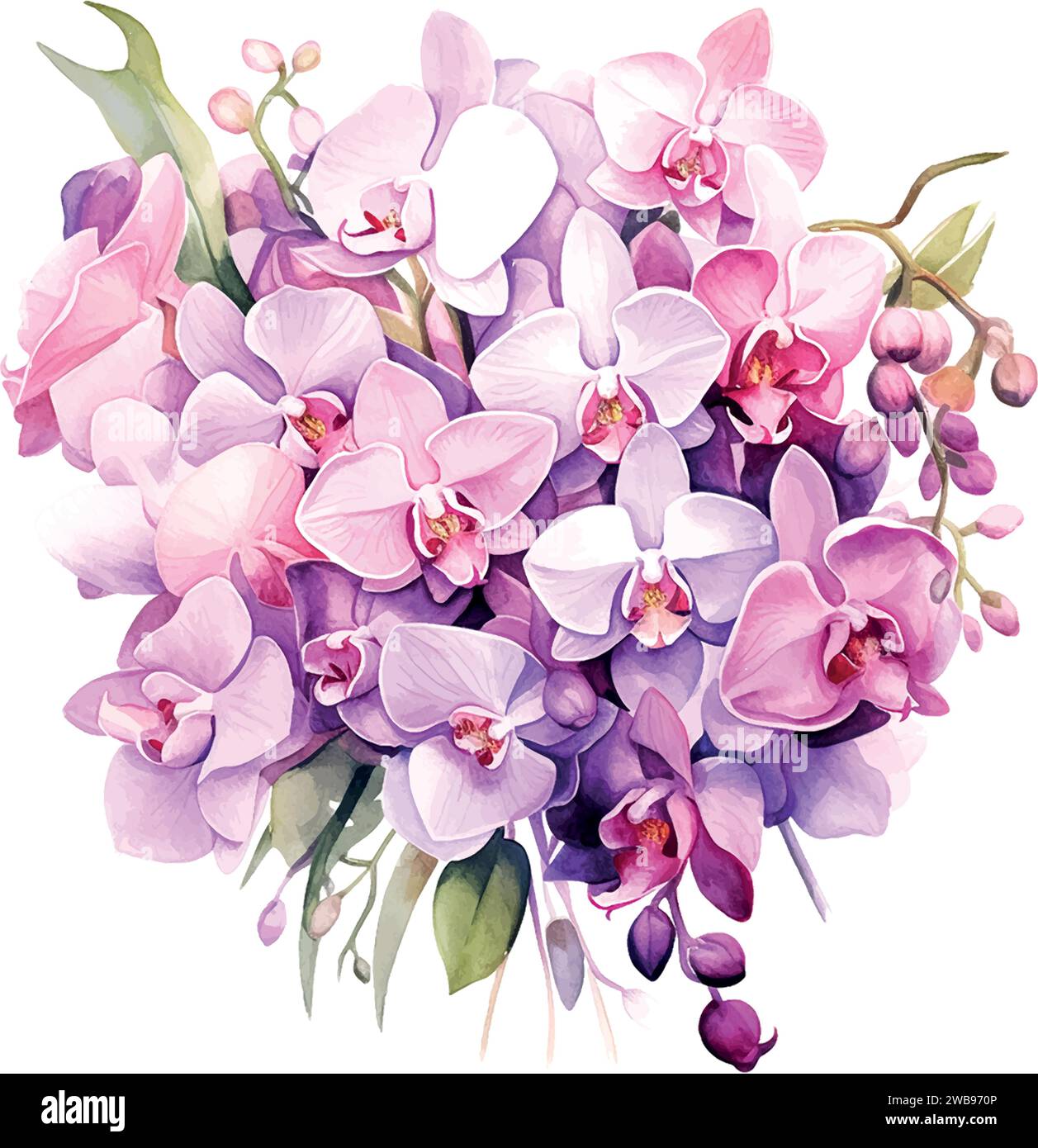 Dendrobium orchid flower Stock Vector Images - Alamy