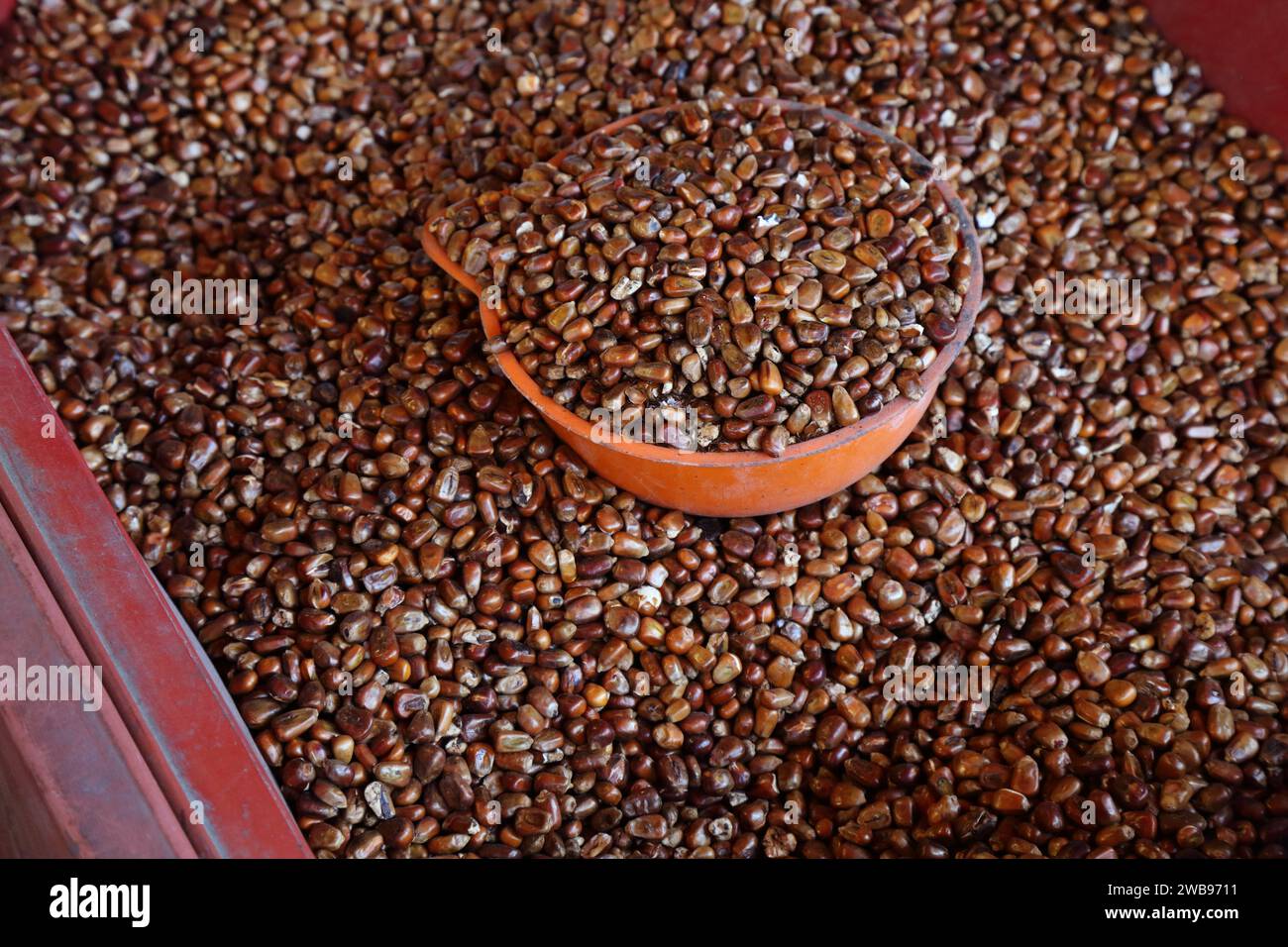 Corn tea hi res stock photography and images Alamy