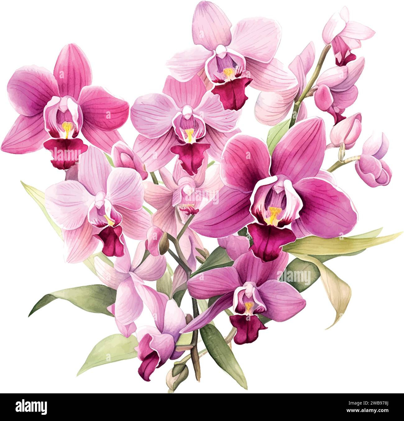 flower, orchid watercolor botanical bloom Stock Vector Image & Art - Alamy