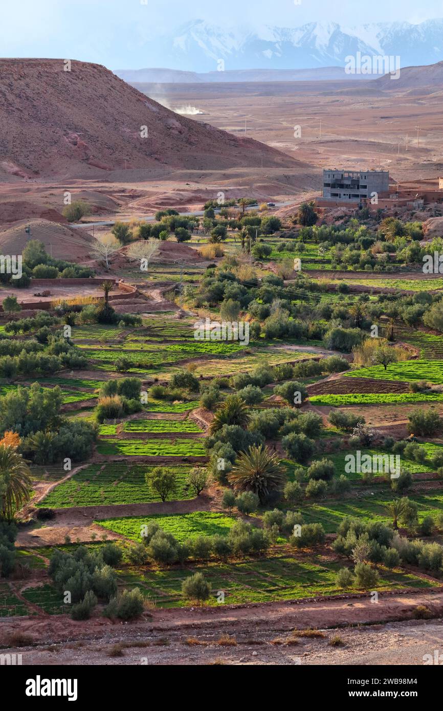 Green fields with trees hi-res stock photography and images - Alamy
