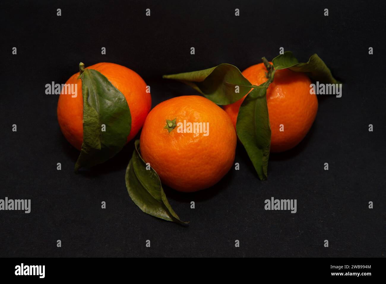 Three oranges with leaves up close on a dark background Stock Photo