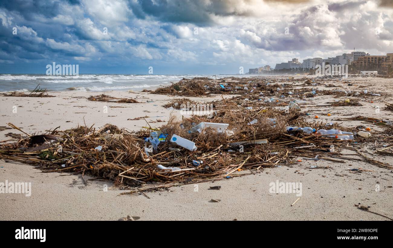 Vegetation mixed with metal and plastic waste in front of tourist resorts on a beach in Sousse, Tunisia. Stock Photo