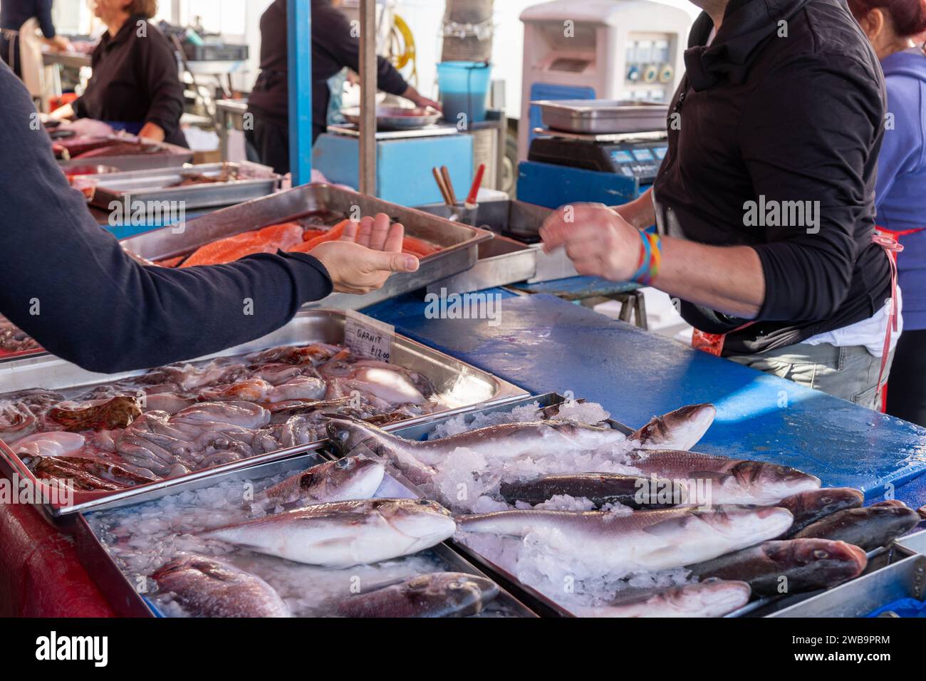 Malta - December 3, 2023: A fish market with fresh fish from Malta *** Ein Fischmarkt mit frischem Fisch in Malta Stock Photo