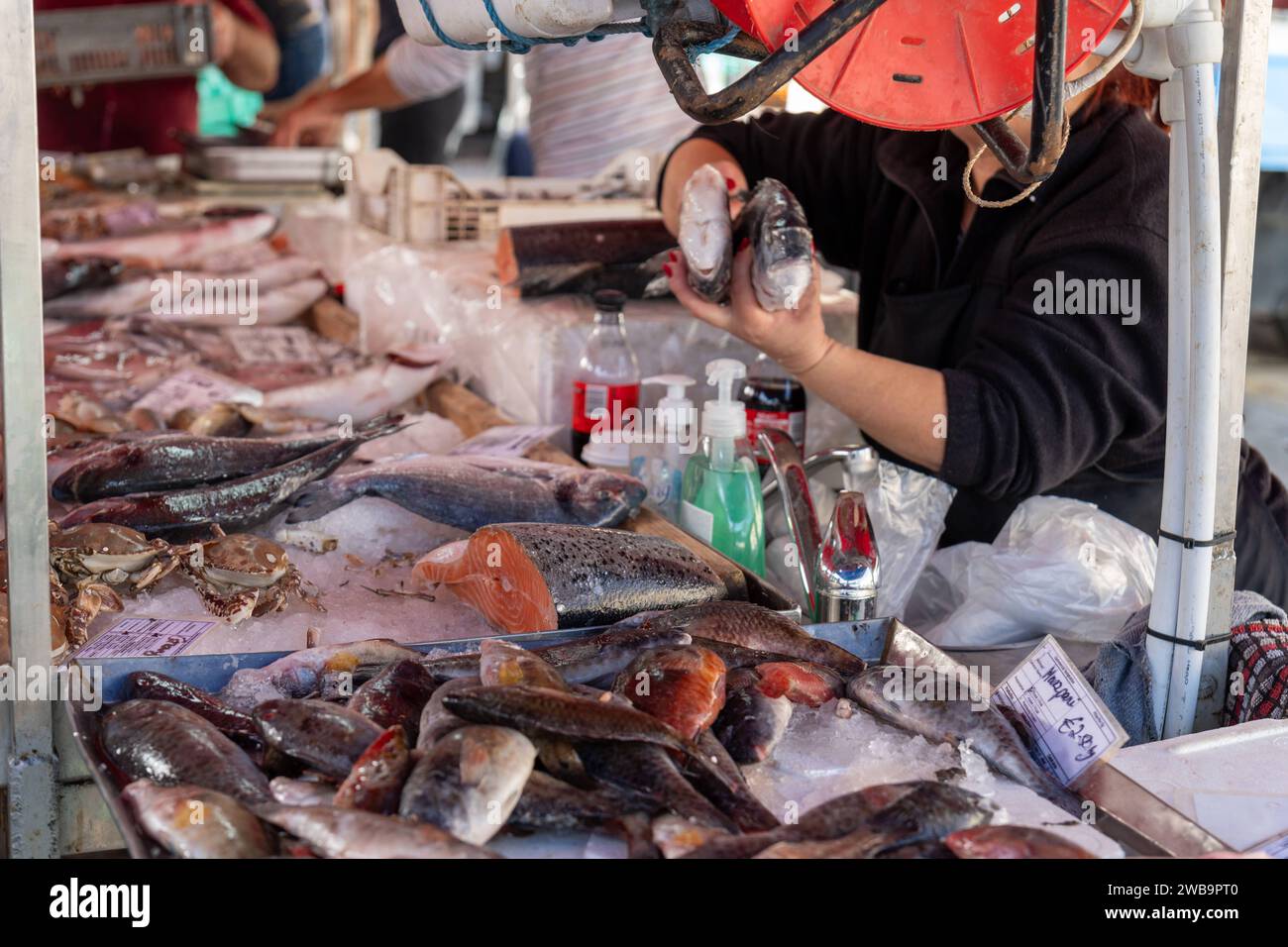 Malta - December 3, 2023: A fish market with fresh fish from Malta *** Ein Fischmarkt mit frischem Fisch in Malta Stock Photo