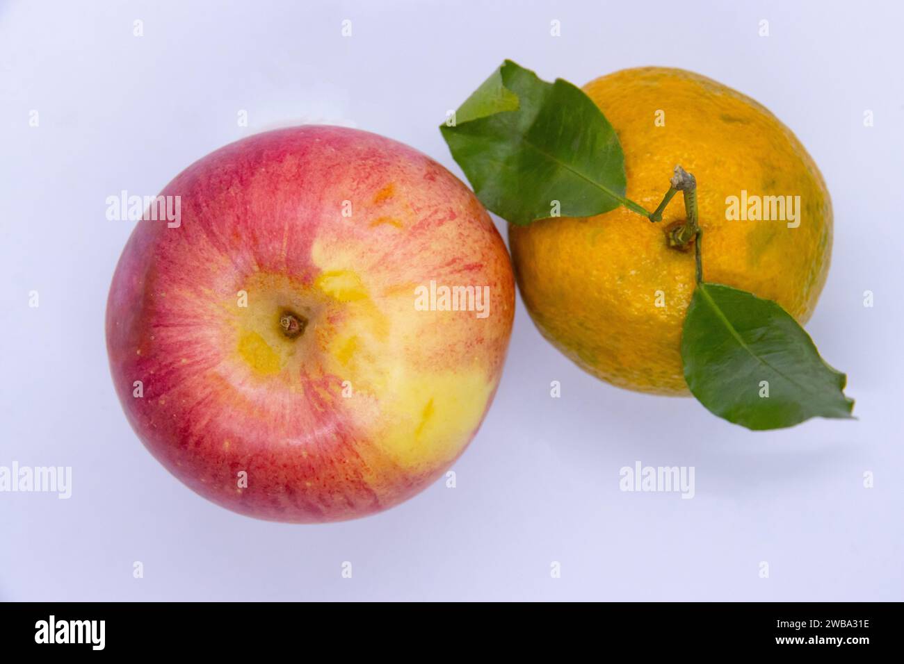 Apple and Orange Tangerine in an isoalted white background Stock Photo