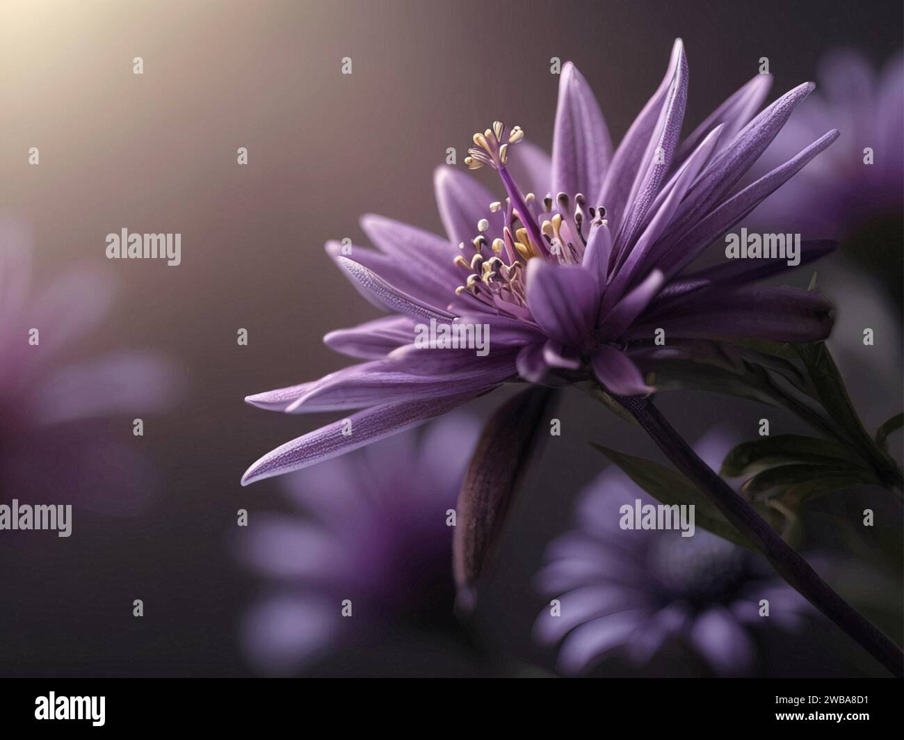 Beautiful Purple Lilac Flowers in Bloom Stock Vector Image & Art - Alamy