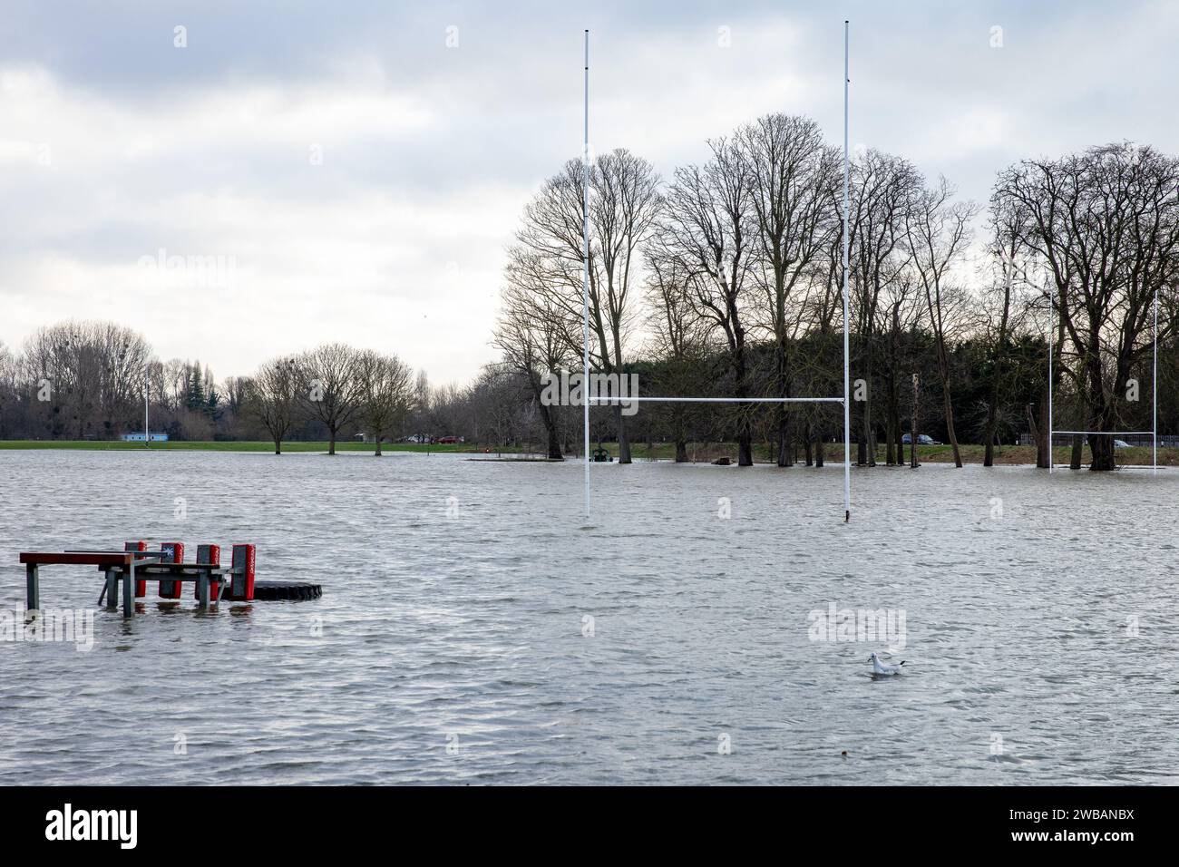 Windsor, UK. 9th January, 2024. Rugby pitches used by Windsor Rugby ...