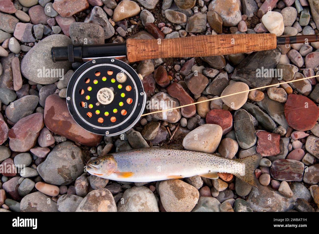 Trout with flyfishing pole, Middle Fork Flathead Wild and Scenic River ...