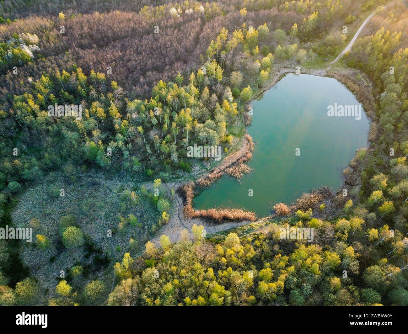 Trees next to a lake at the sunset, seen from above Stock Photo