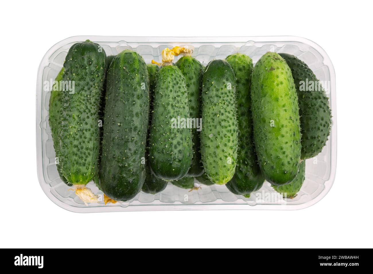 packaging of fresh cucumbers, top view, group of organic vegetables isolated on a white background with clipping path Stock Photo