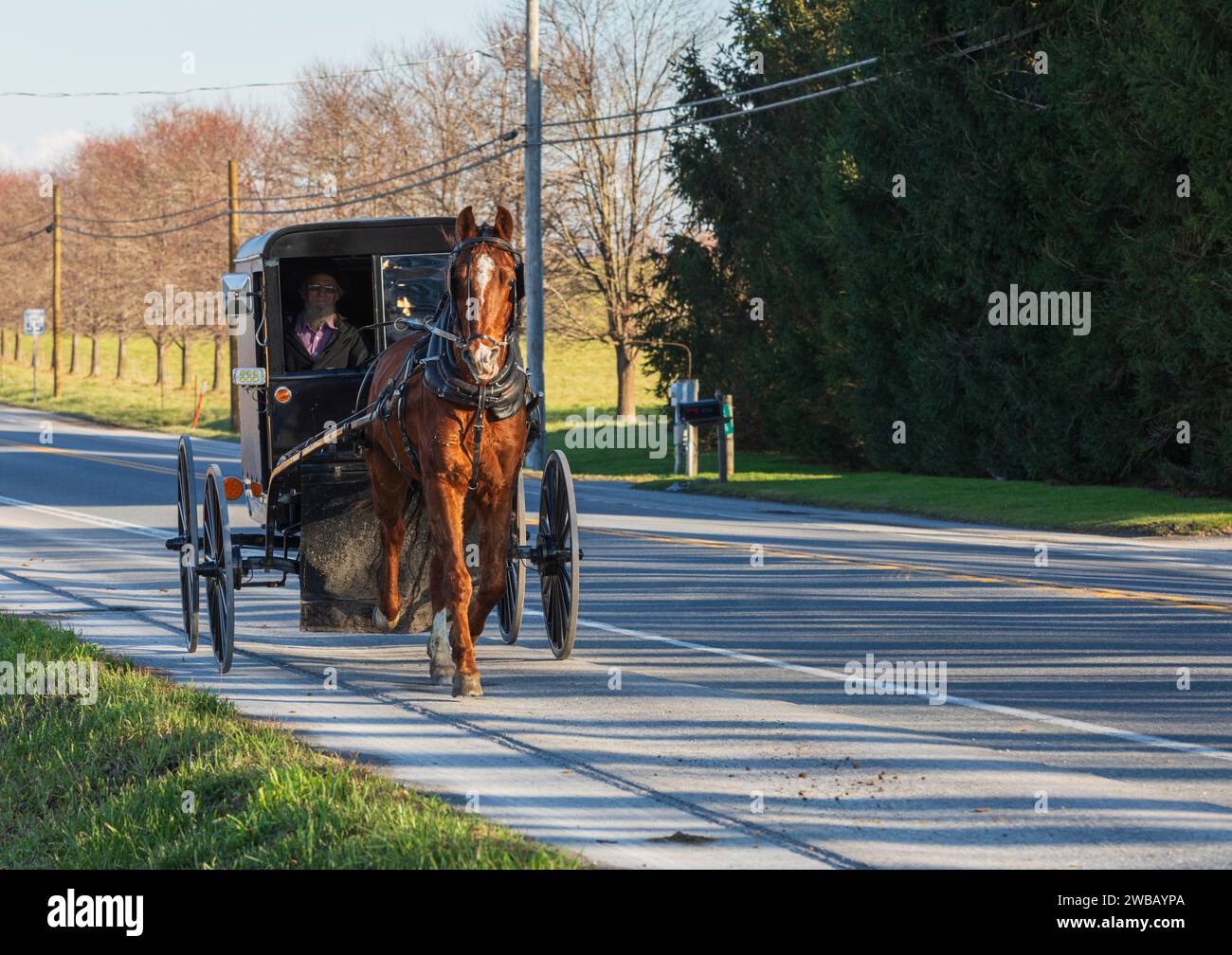 Amish horse and carriage Stock Photo Alamy