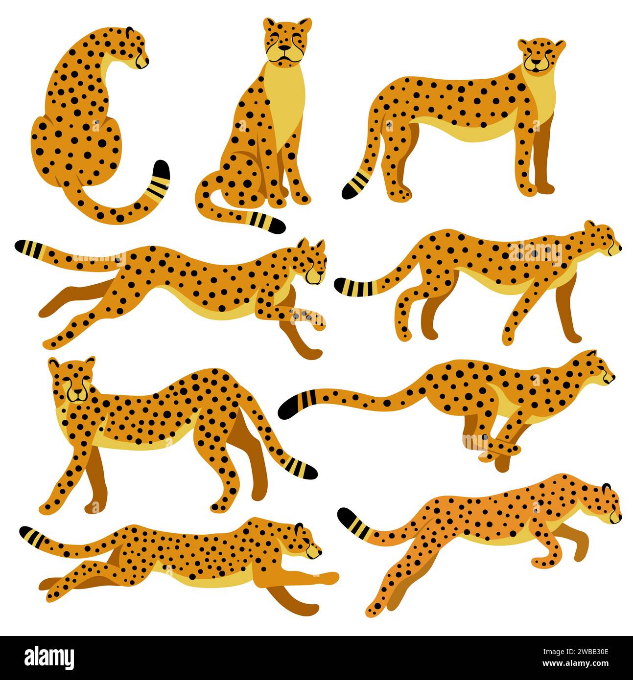 Cheetah Collection. Vector illustration of cartoon cheetahs in different actions like standing, jumping, hunting, running, walking. Isolated on white. Stock Vector