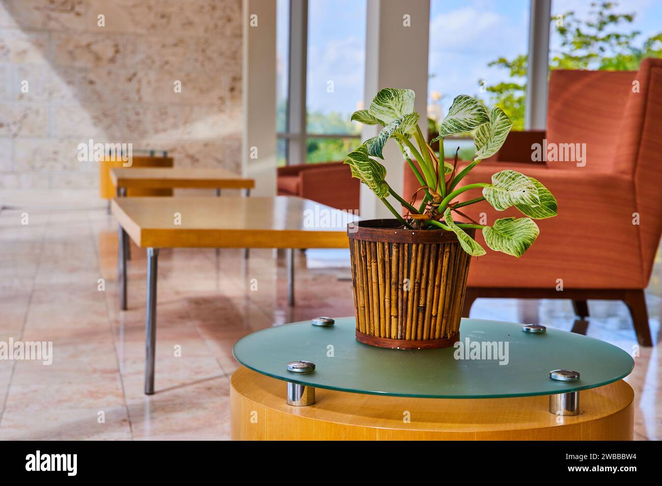 Modern Eco-Friendly Interior with Indoor Plant and Luxury Decor Stock ... - Luxury Eco Friendly Interior Decor Ideas