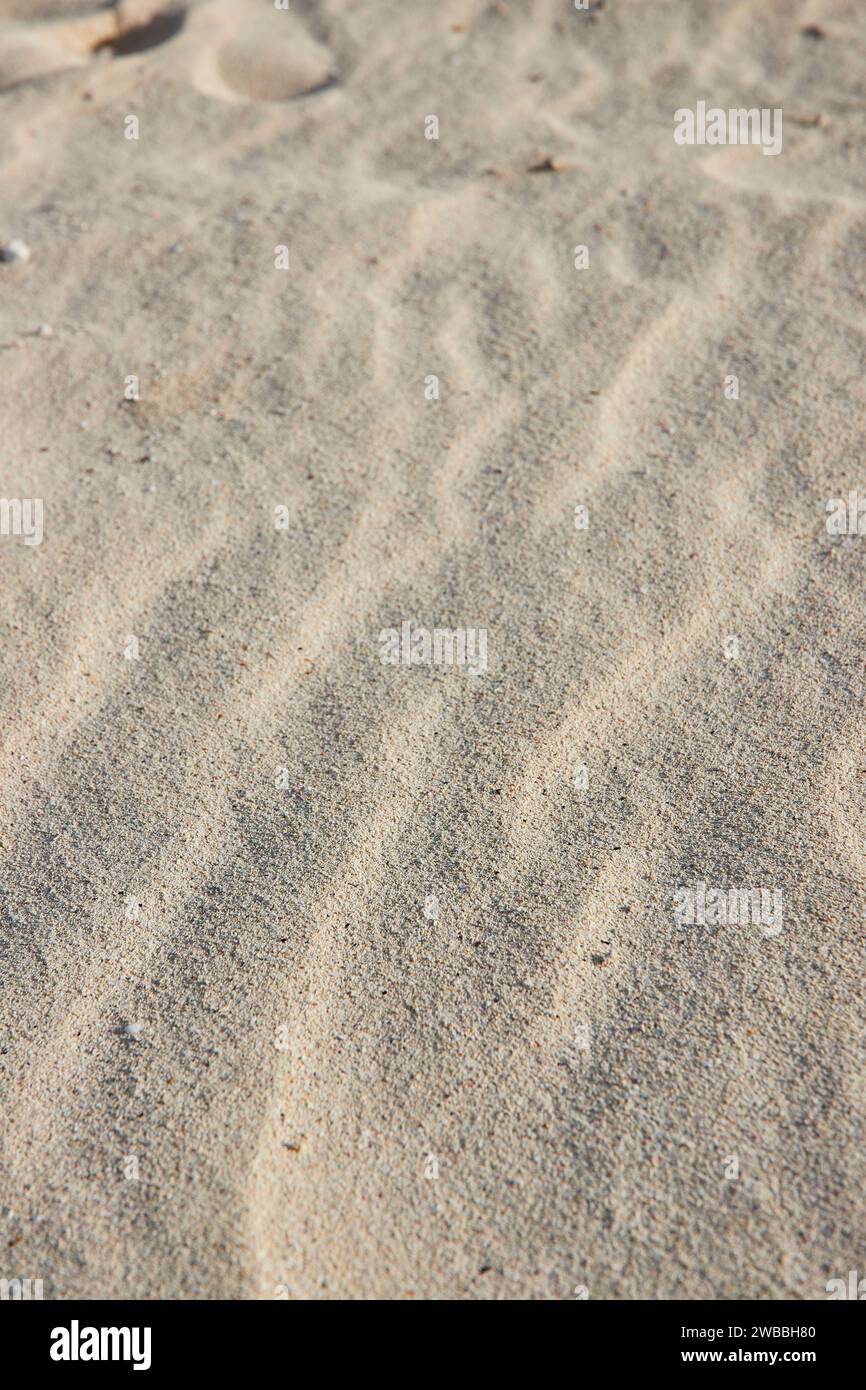 Sandy Beach Texture Close-up - Bahamas Paradise Island Stock Photo