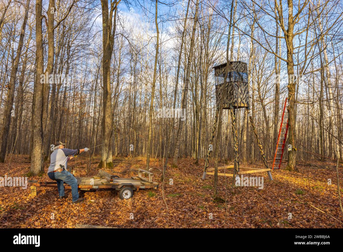 Man preventing a homemade deer hunting stand from toppling over as it's being erected with a pulley system. The two pulleys are on a tree (right side Stock Photo