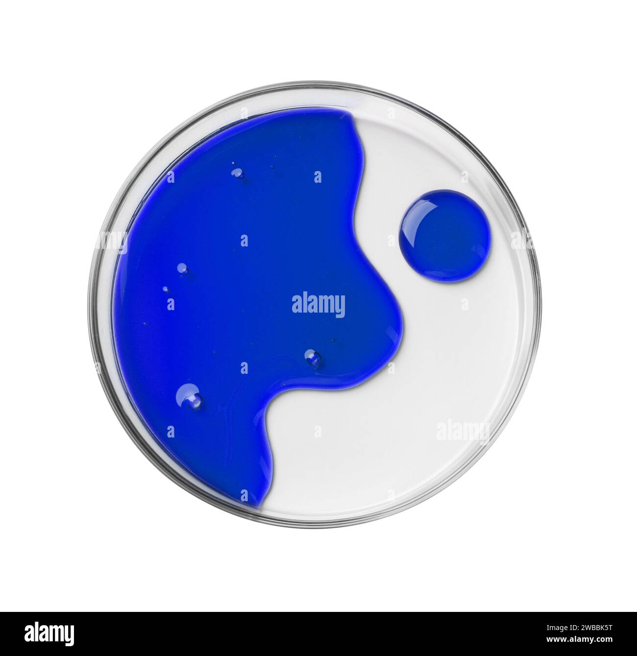 Petri dish with color liquid sample on white background, top view Stock ...