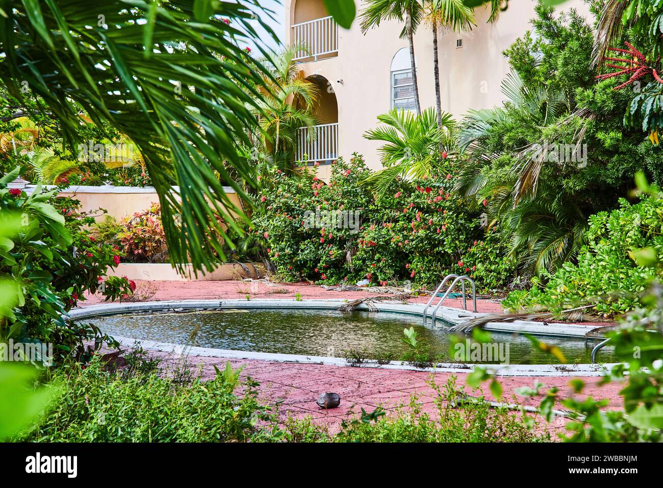Abandoned Tropical Pool with Overgrown Greenery and Neglected Building ...