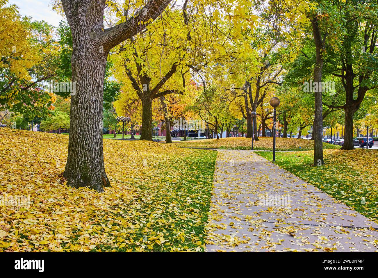 Autumn Splendor in Urban Park with Golden Leaves and Pathway Stock ...