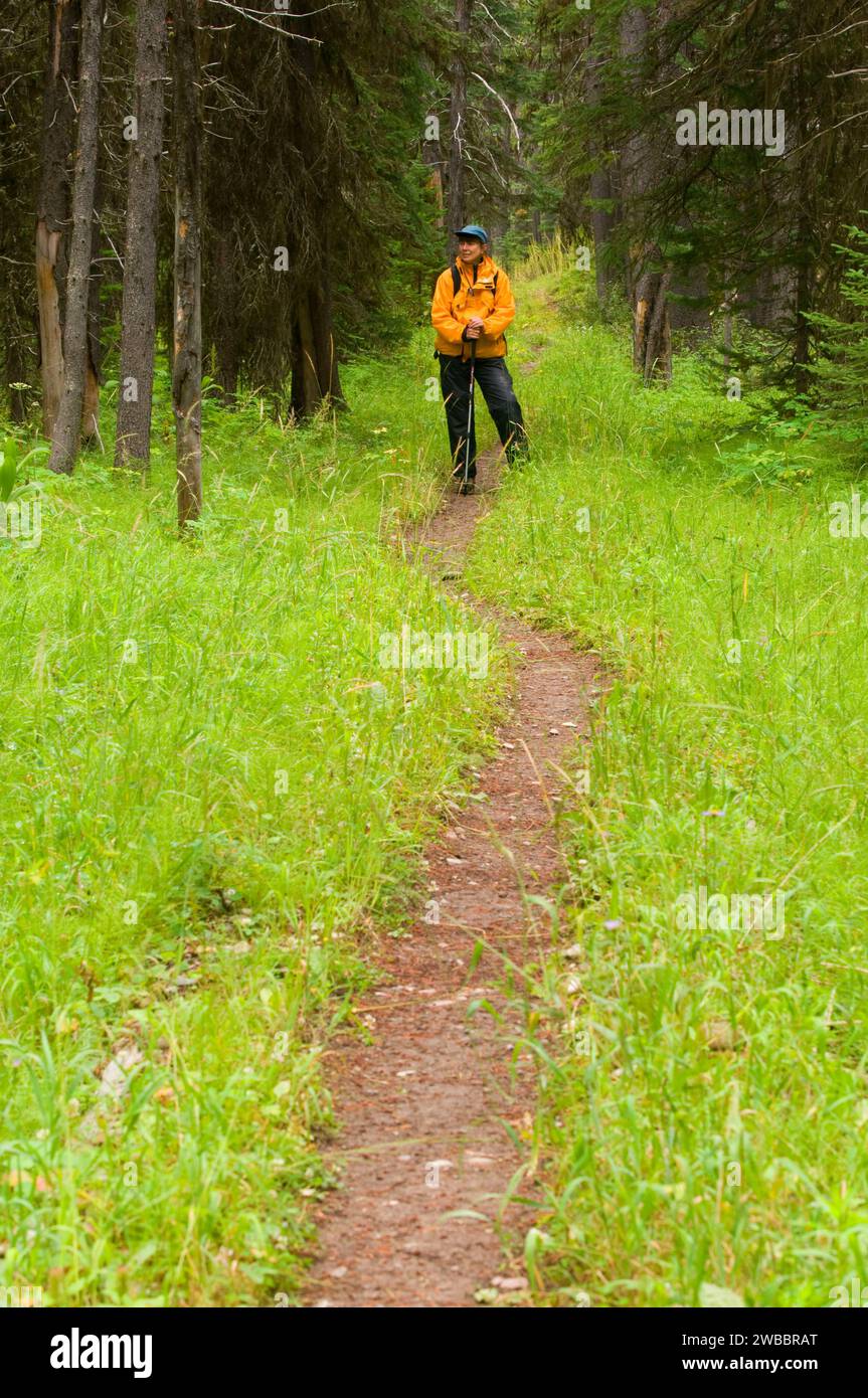 Hiker on Dolly Varden Creek Trail, Great Bear Wilderness, Flathead