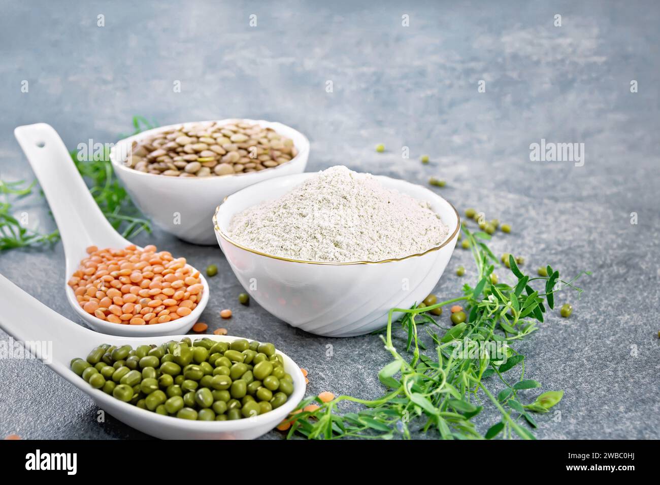 Lentil flour in bowl, red, green lentils in spoons, brown in bowl, bean stalks with leaves on stone background Stock Photo