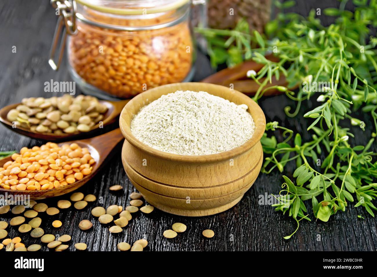 Lentil flour in a bowl, red and brown lentils in spoons and glass jars, bean stalks with leaves on background of black wooden board Stock Photo