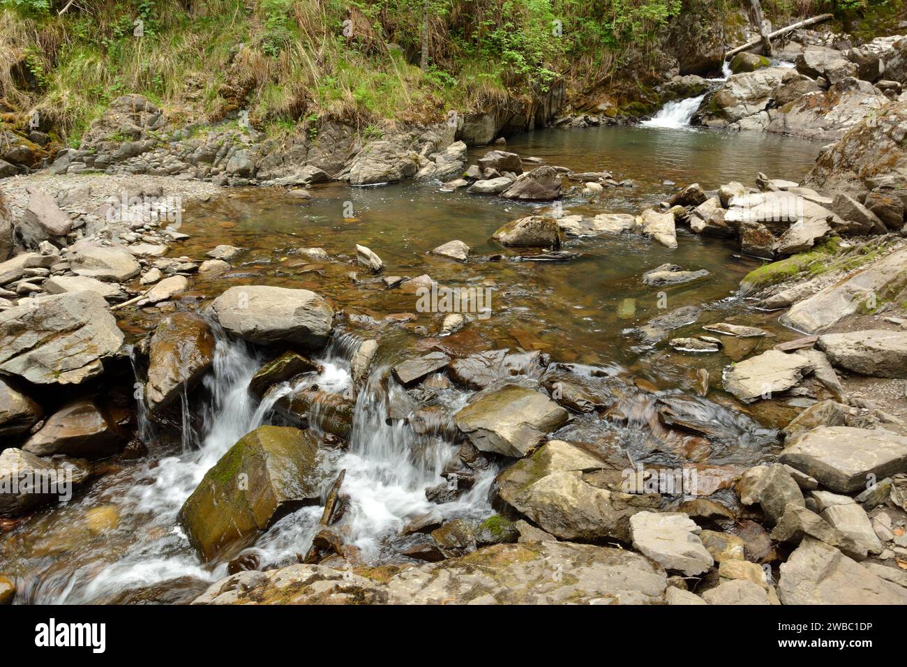 A small backwater in the channel of a small river flowing down from the mountains through a dense forest, skirting the stones. Tevenek River (Third Ri Stock Photo