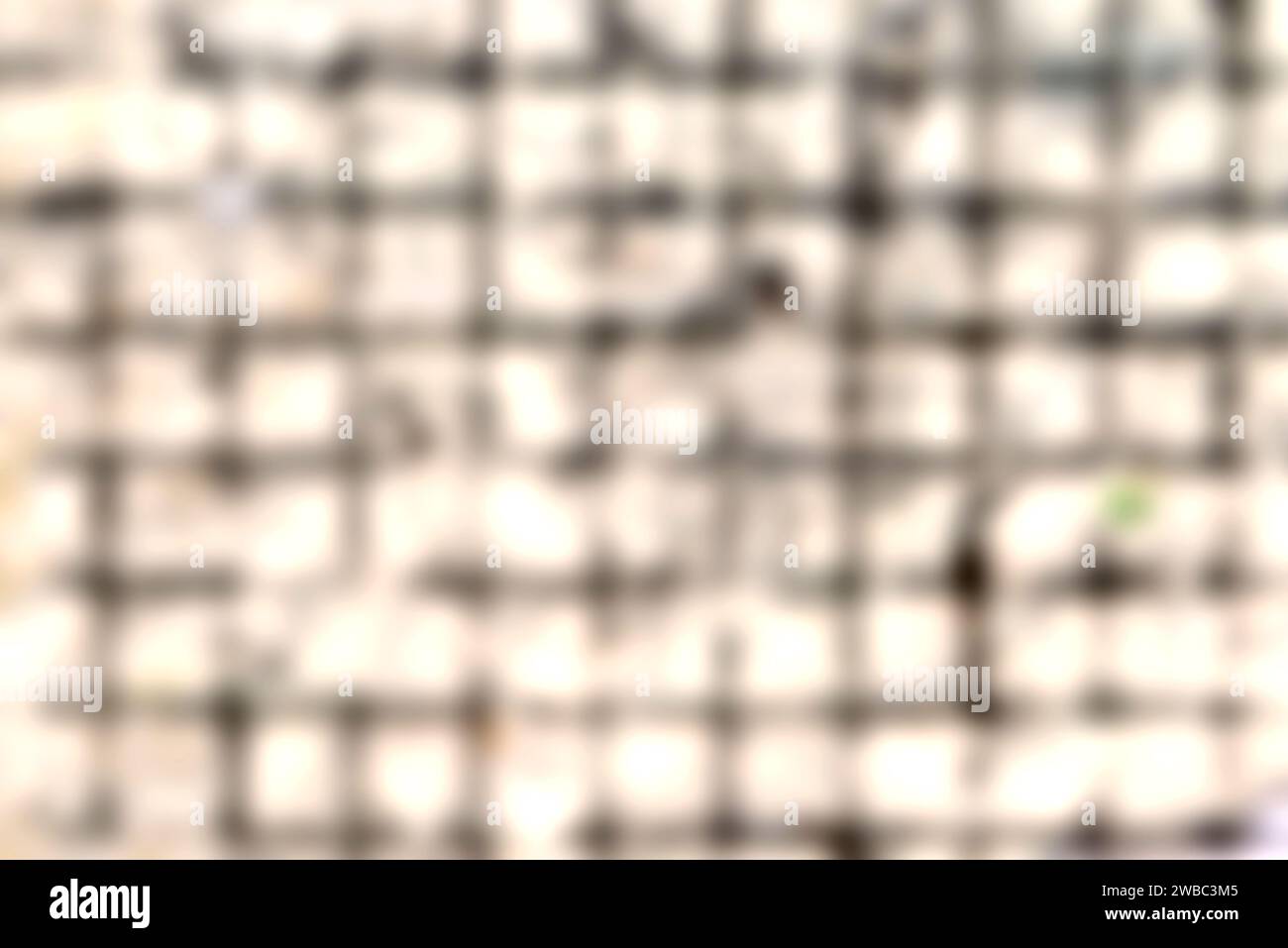Abstract, Texture, Grid, Silhouette Blur background. Stock Photo